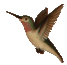 Pixelated image of a hummingbird